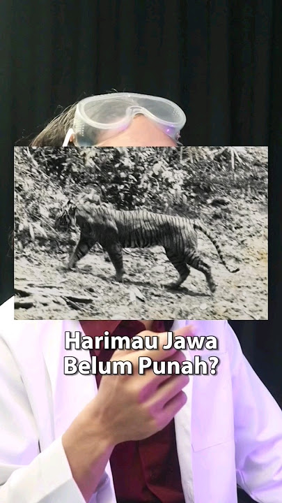 Apakah masih ada harimau jawa?