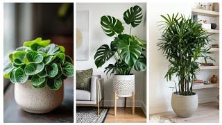 10 Plant Decor Ideas to Elevate Your Home #gardendesign #garden