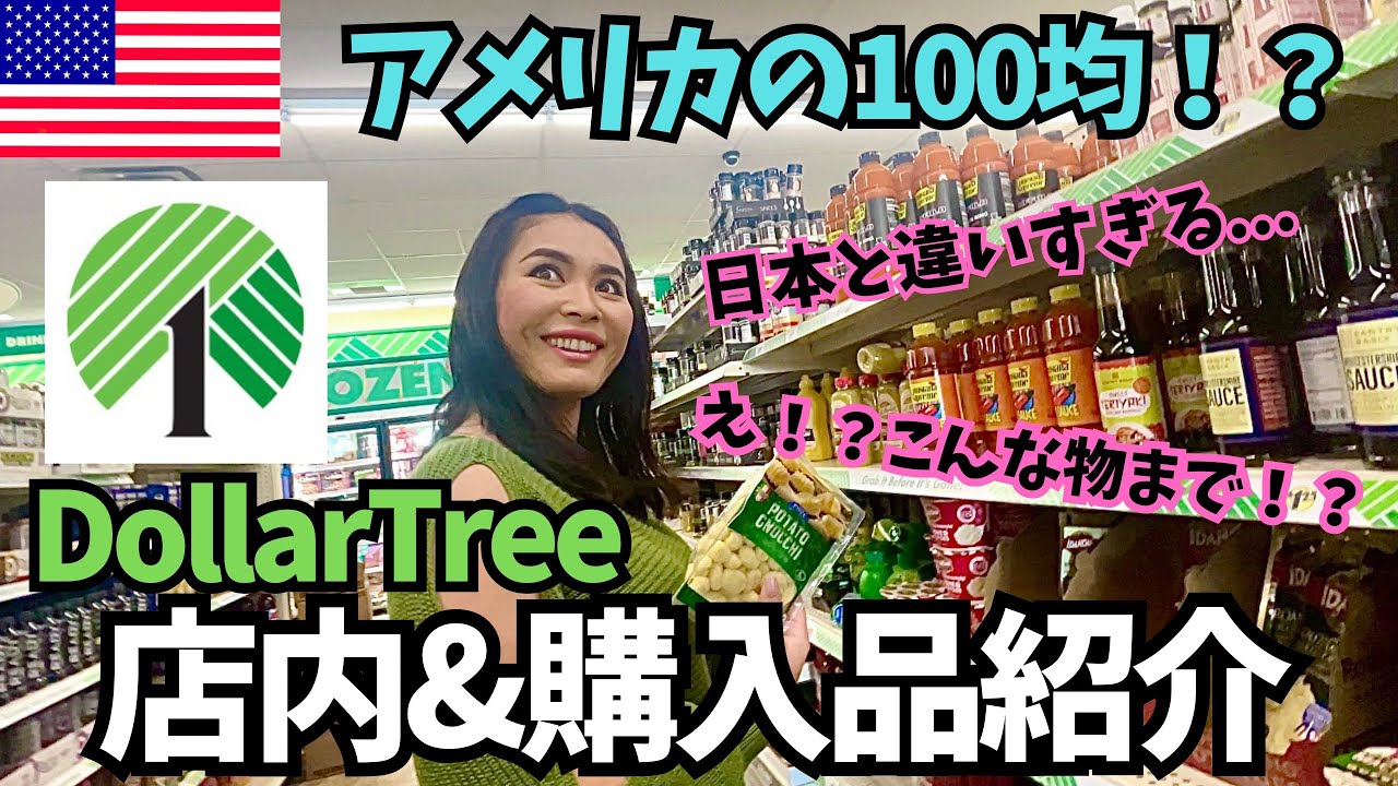 【🇺🇸アメリカの100均的存在】$1ストアDollar Treeの店内と購入品を紹介します　#115