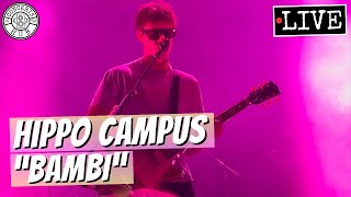 Hippo Campus "Bambi" LIVE