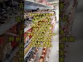 蛋鸡养殖 养鸡人 养鸡知识 科学养鸡 搞笑 饲养员日常 科普 蛋鸡养殖 养鸡人 养鸡知识 科学养鸡 搞笑 饲养员日常 科普
