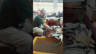 Cara proses Ikan Terubok masin di Medan Niaga Satok, Kuching