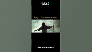 "When Bugs Only Show Up in Test Environment 😂 | Developer Life"