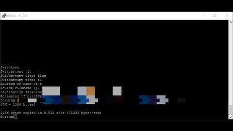 Adding Licenses to Cisco Switches