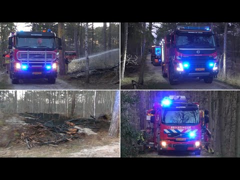 Brandweer gealarmeerd voor Bosbrand aan de Bemmelenberg in Bergen op Zoom - Brandweer met spoed!