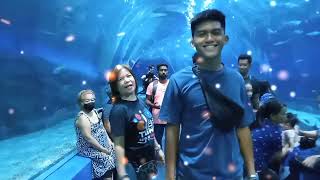 Manila Ocean Park  Oceanarium