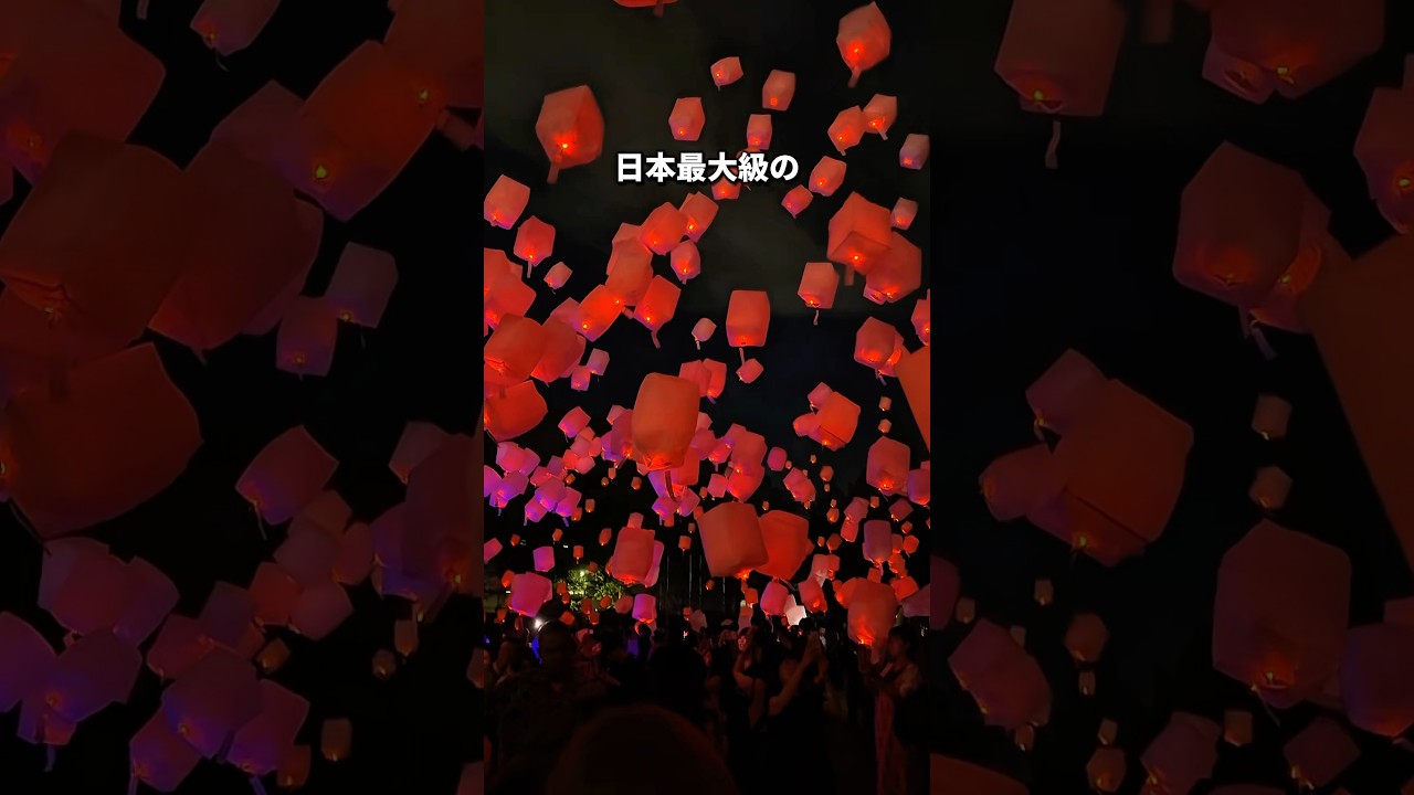 日本最大級のラプンツェルの世界が今年も！！