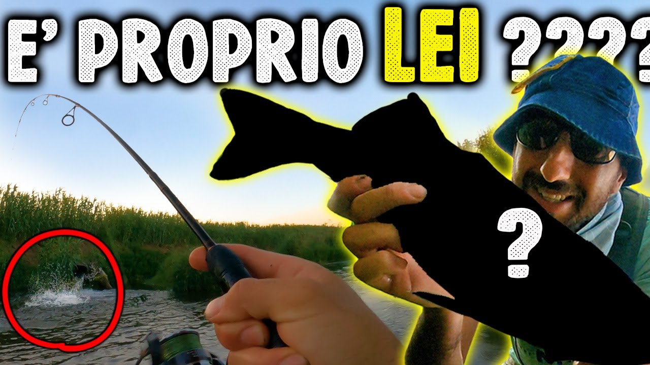 QUESTA non me l'aspettavo! - Catture EPICHE in fossetto di campagna + presentazione nuovo Tatula!