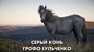 картинка: ГРОФО ВУЛЬЧЕНКО – СЕРЫЙ КОНЬ