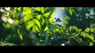 Nyuwun Pangapuramu, vocal Gus Sandi Rois, cipt. Gus Sandi Rois