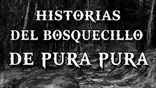 Historias del Bosquecillo de Pura Pura (La Paz) / Mitos y Leyendas de Bolivia