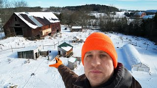 FARM TOUR! Cattle, Geese, Ducks, Vermont Winter!