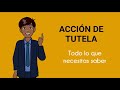 La accion de tutela todo lo que necesitas saber