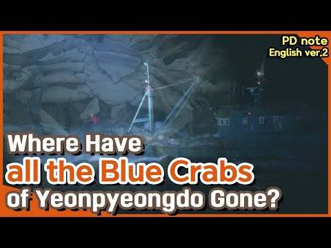 [<strong>PD</strong> note] <strong>Where</strong> Have all the Blue Crabs of Yeonpyeongdo Gone?