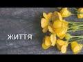 Роман Чайка - Проповідь - 11.12.2022