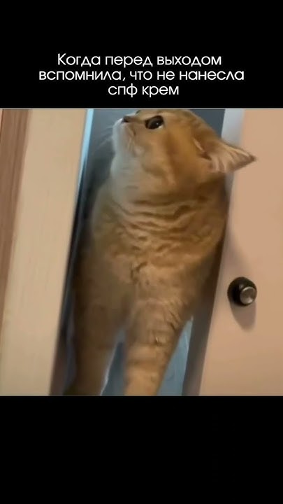 Как выбрать спф уже в профиле? Видео уже в профиле;) #спф #spf #spf ...