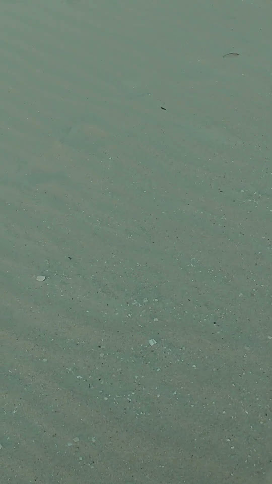 Destin Beach Metal Detecting metaldetecing floridabeach 