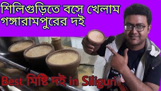 শিলিগুড়িতে খেলাম গঙ্গারামপুর এর দই | Misti Dohi in SiliGuri  | Misti doi of Gangarampur