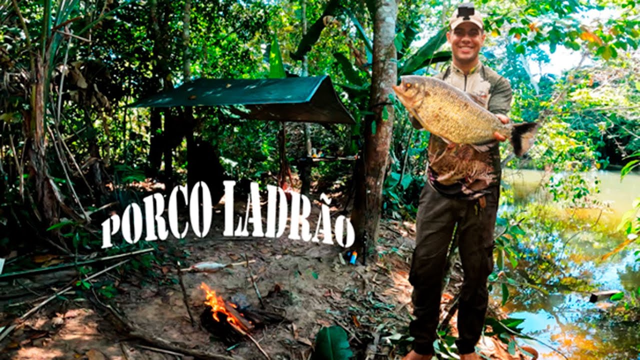 O Porco Roubou meu Acampamento! e Peguei Matrinxã Gigante.