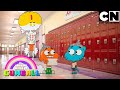 En Busca del Compañero | El Increíble Mundo de Gumball en Español Latino | Cartoon Network