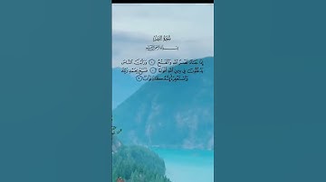 #قران_كريم #سورة النصر #علاء_عقل #قران #تلاوة_خاشعة #قران_كريم #اكسبلور