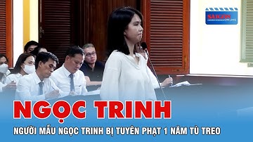 Vì sao Ngọc Trinh được hưởng án treo?