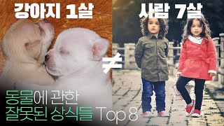 강아지 1살은 인간의 나이 7살이 아니다?! 동물에 대한 잘못된 상식 Top 8 !!