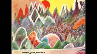 bobak jons malone-The Lens
