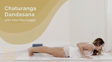 Chaturanga Dandasana with Kino MacGregor