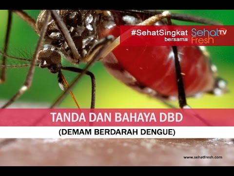 Gejala dan Tanda DBD