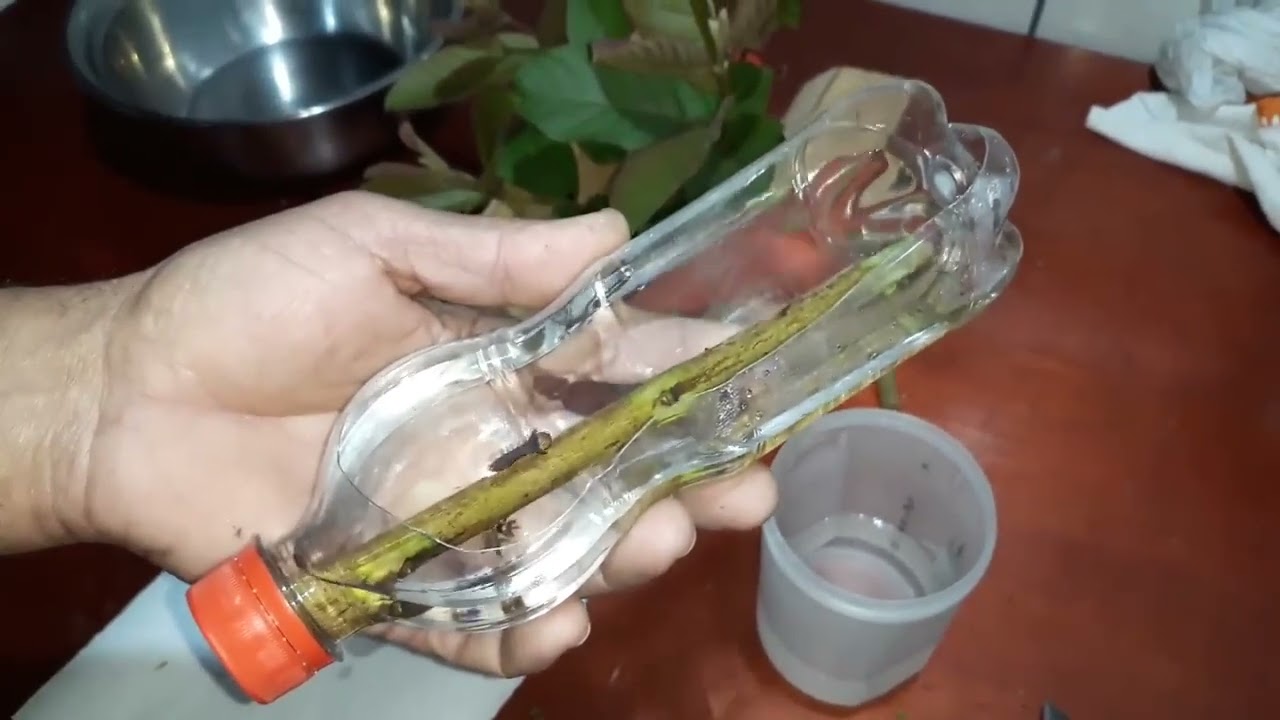 VOCÊ TEM EM CASA!!!