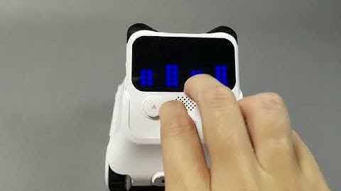 Codey Rocky-Water and Light Show