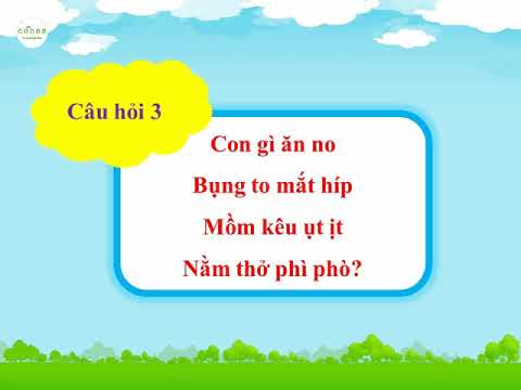 Câu đố về các con vật