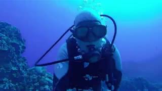 Scuba Diving on Sunken Moai at Easter Island march 2019