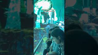 #wonderla #waterparkhyderabad #hyperverse #4d #travel #hyderabad