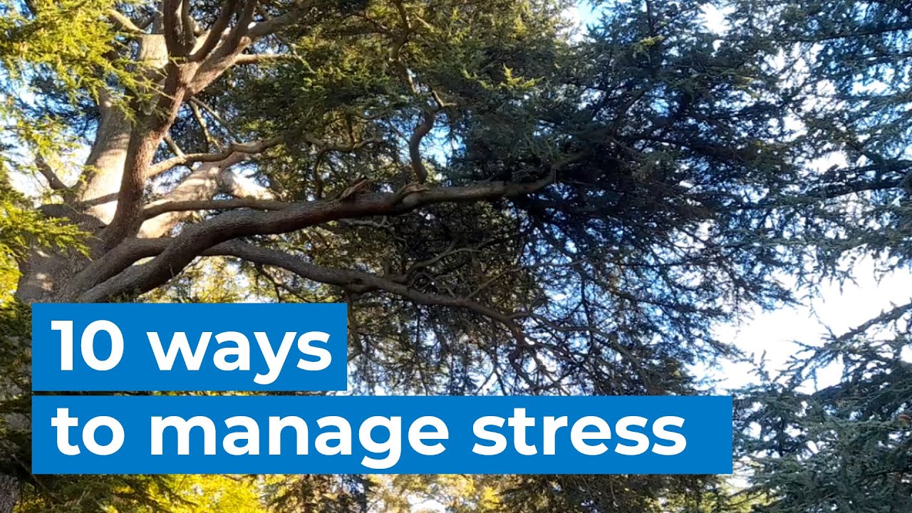 10 ways to manage stress