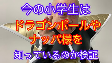 今の小学生はナッパを知っているのか検証！ナッパ芸人ぴっかり高木が山梨住みます芸人の時に小学生にドラゴンボールを知ってるかインタビューした結果