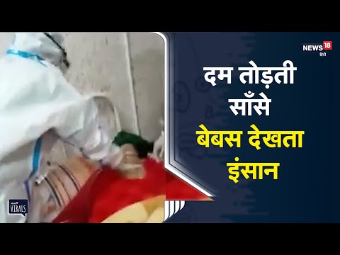 वीडियो: पेनज़ा क्षेत्र में, COVID-19 से दो और लोगों की मौत हो गई