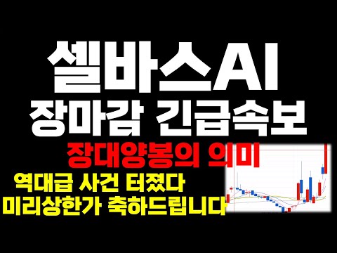   셀바스AI 주가전망 장마감 긴급속보 오늘 장대양봉의 의미 역대급사건 터졌다 상한가 미리축하드립니다 삼성전자인수합병 솔트룩스 코난테크놀로지 챗GPT관련주 AI관련주 주도주