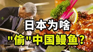 GDP註水，鰻魚靠「偷」，日本工匠精神為啥成了赤裸謊言？【亞洲怪物16】