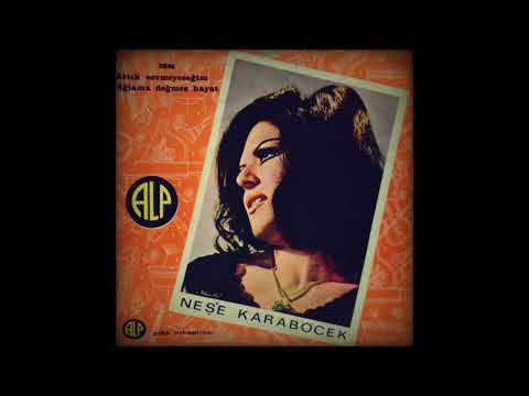 Neşe Karaböcek - Ağlama Değmez Hayat (45'lik Plak)