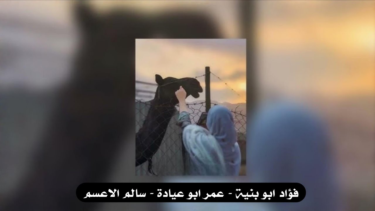  جديد #دحية ♪ جزل مربوعة 2026 || فؤاد ابو بنية - عمر ابو عيادة - سالم الاعسم