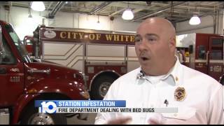 Whitehall Bed Bugs