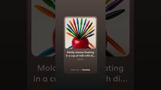 Moldy cheese floating in a cup of milk with dissected flies inside