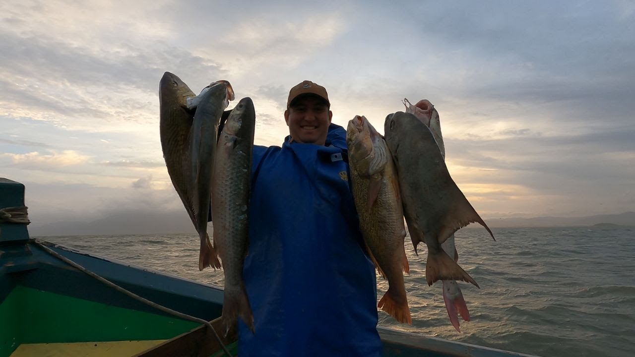 VARIEDADE DE PEIXES - Paru assado com batatas