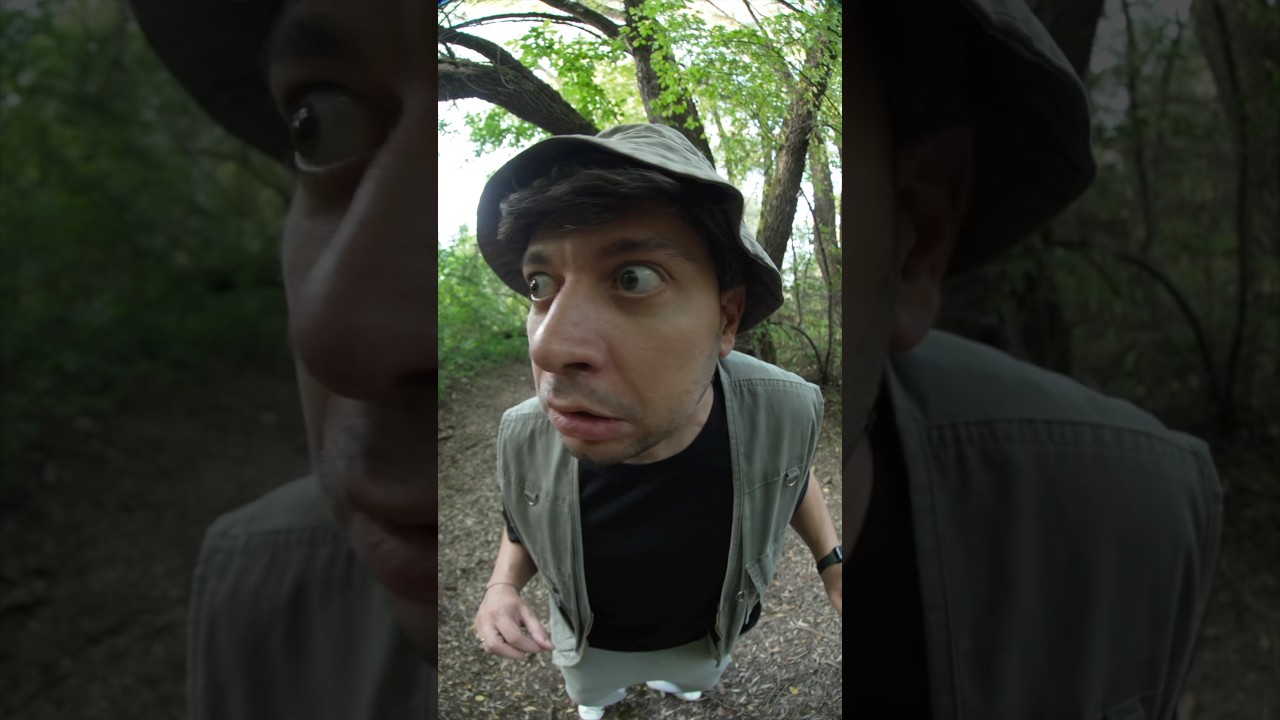 Как выжить в лесу.