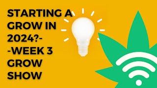 Cannabis Chronicles: Nurturing Nature Episode 3.0 - Essential Insights for a Successful Grow Journey