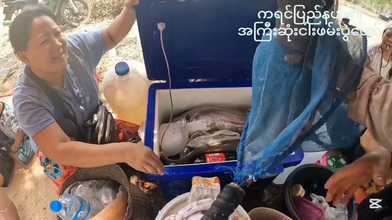 ကရင်ပြည်နယ်၏အကြီးဆုံးငါးဖမ်းပွဲတော် စံဖရီးရွာ