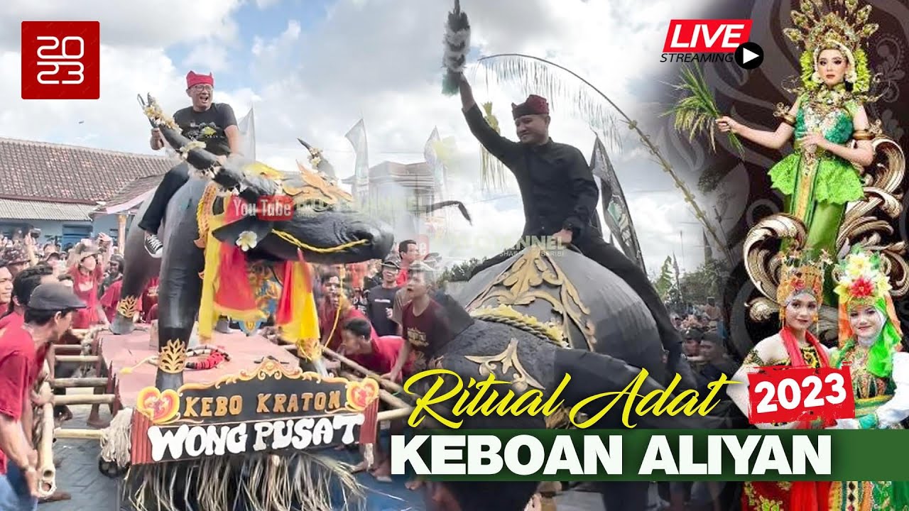 Ritual Adat Keboan Aliyan Banyuwangi 2023