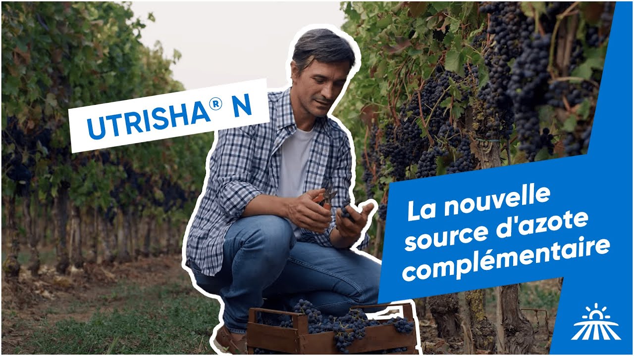 Utrisha® N : La nouvelle source d'azote complémentaire